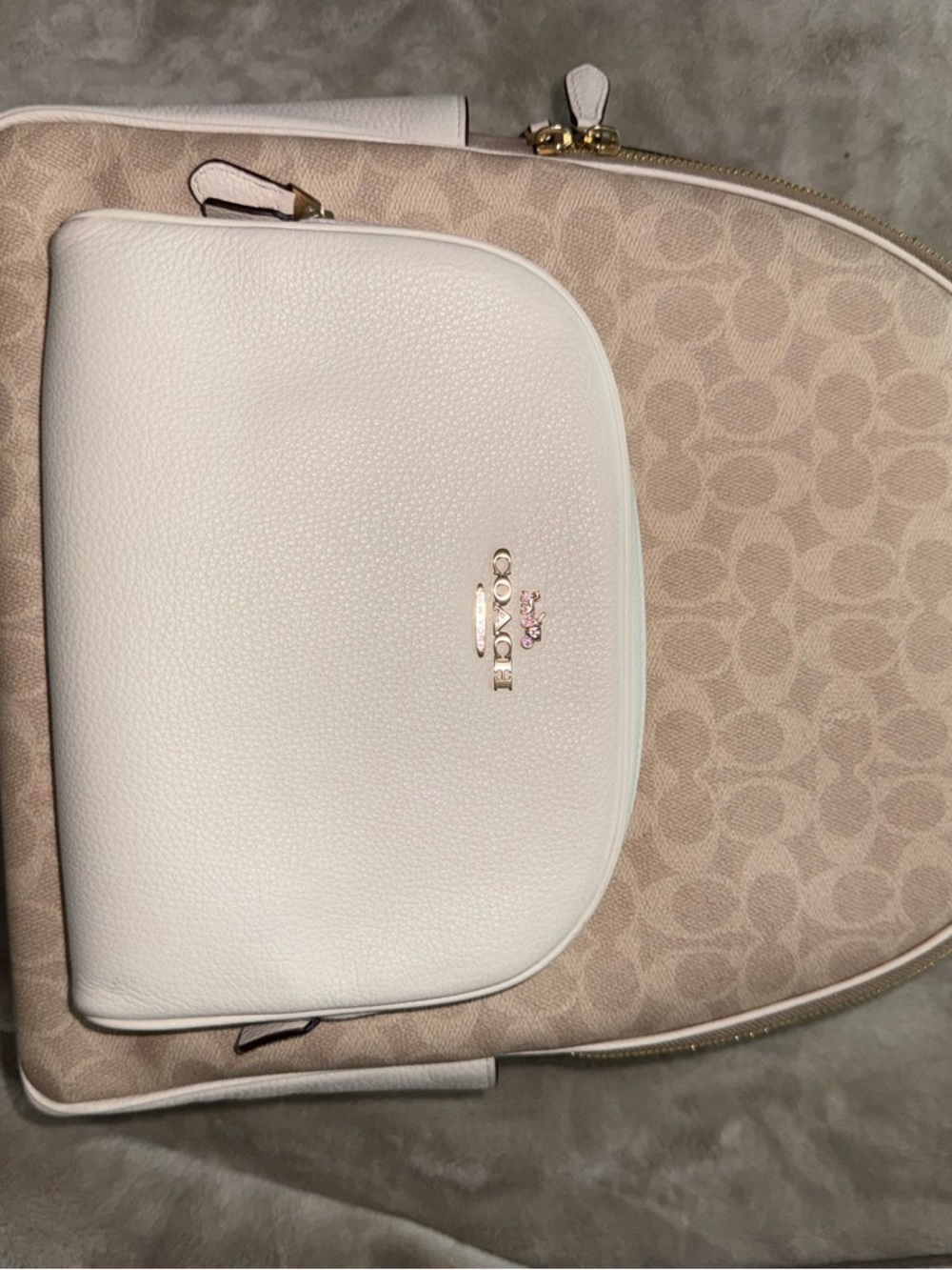 Coach Large Court Backpack in Signature Canvas